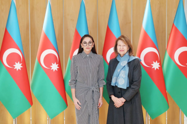 Mehriban Əliyeva Böyük Britaniya Baş nazirinin Azərbaycan üzrə ticarət elçisi ilə görüşüb - FOTO